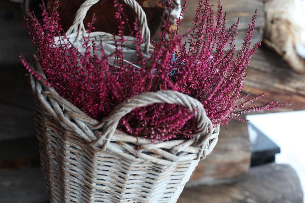 Neljaen Tuulen Tupa Bed and Breakfast Kaamanen Εξωτερικό φωτογραφία